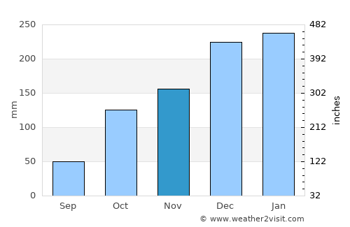 Araraquara average rain in November