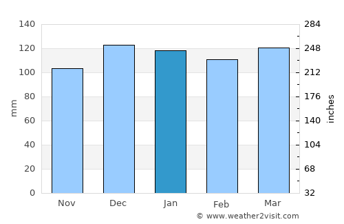Arcadia average rain in January