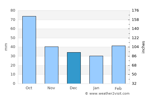 Archer City average rain in December
