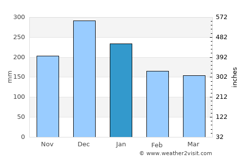 Arinos average rain in January