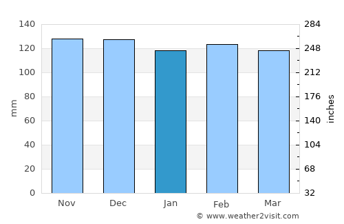 Arroio do Meio average rain in January