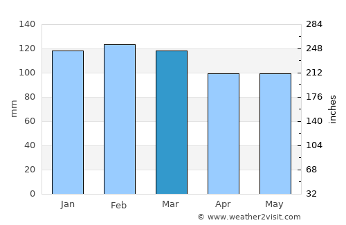 Arroio do Meio average rain in March