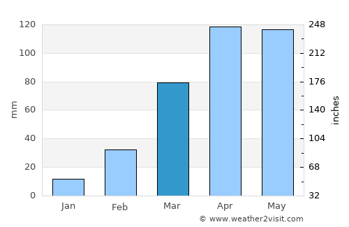 Arua average rain in March