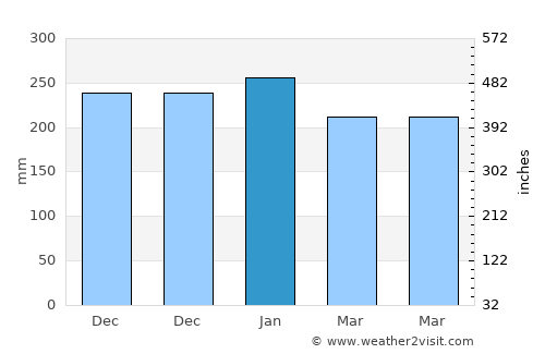 Arujá average rain in January
