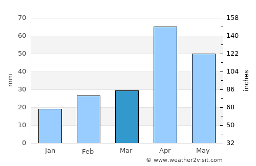 Aruppukkottai average rain in March
