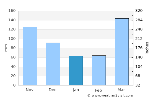 Arusha average rain in January