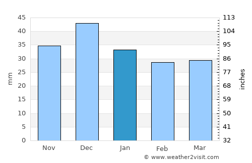 Aş Şayyādah average rain in January