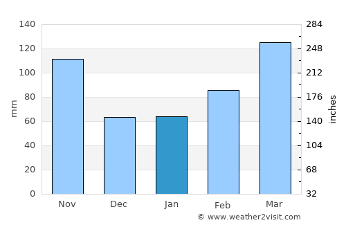 Asahi average rain in January