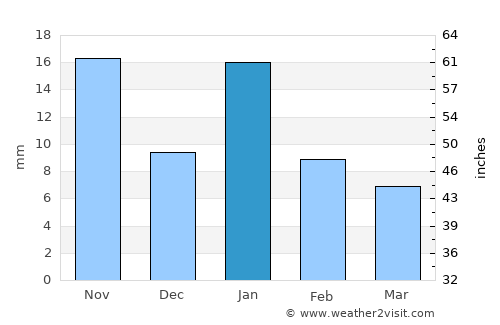 Ashoknagar average rain in January