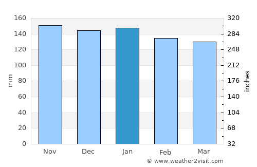 Asunción average rain in January