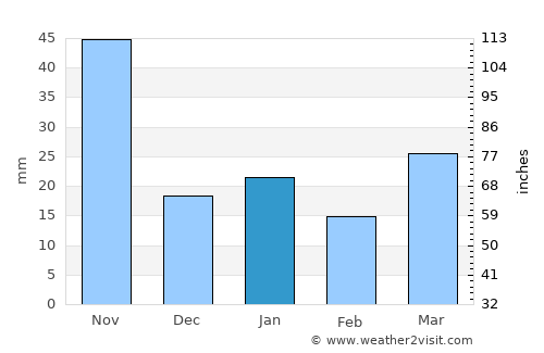 Atotonilco el Grande average rain in January