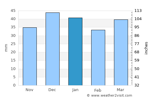 Avanos average rain in January