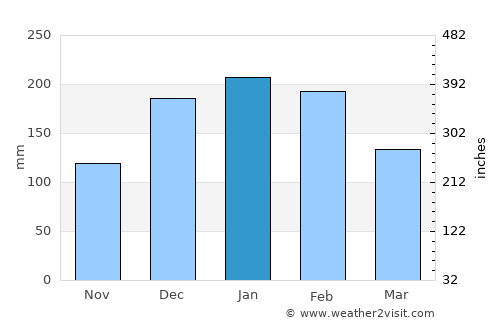 Avaré average rain in January