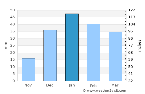 ‘Ayy average rain in January