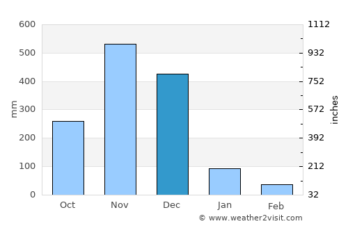 Bacho average rain in December