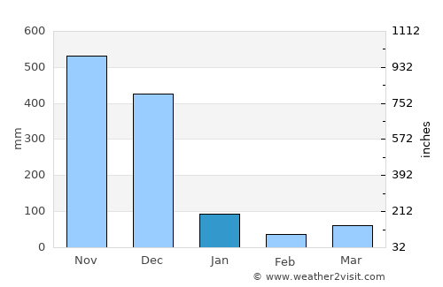 Bacho average rain in January