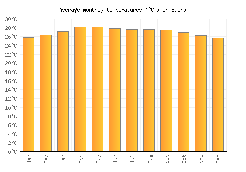 Bacho average temperature chart (Celsius)