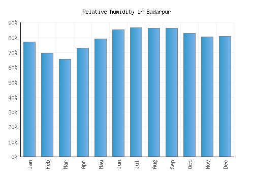 Badarpur relative humidity averages