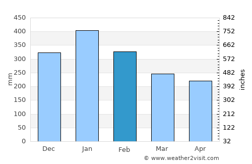 Baganga average rain in February