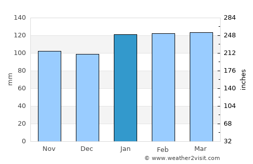 Bagé average rain in January