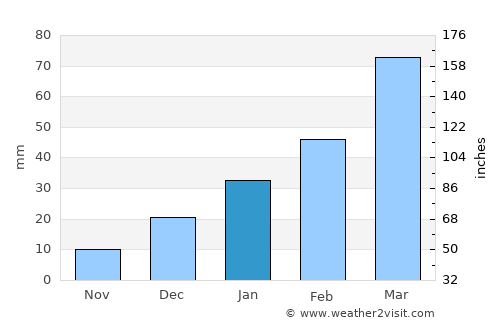 Bāgh average rain in January