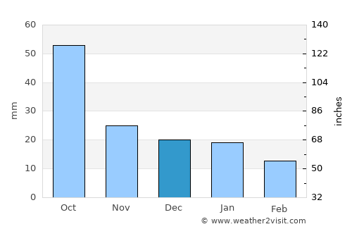 Bagley average rain in December