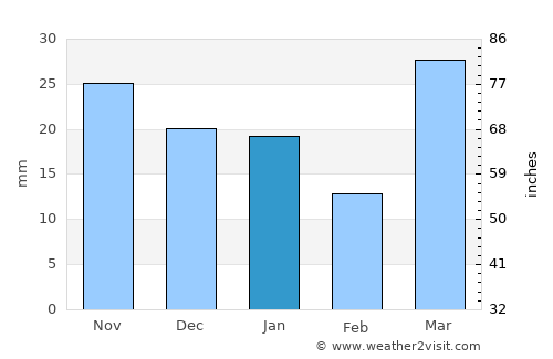 Bagley average rain in January