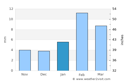 Bahāwalpur average rain in January