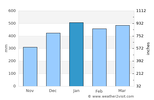 Bajawa average rain in January