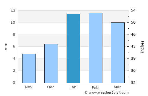 Baldev average rain in January