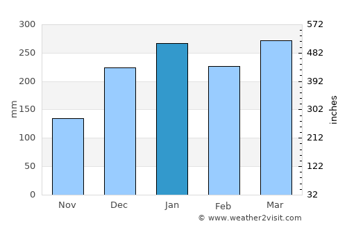 Bangkalan average rain in January