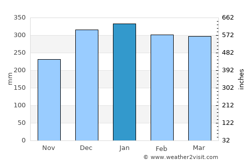 Banjarmasin average rain in January