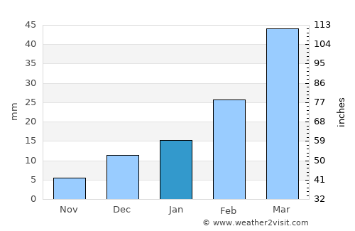 Bannu average rain in January