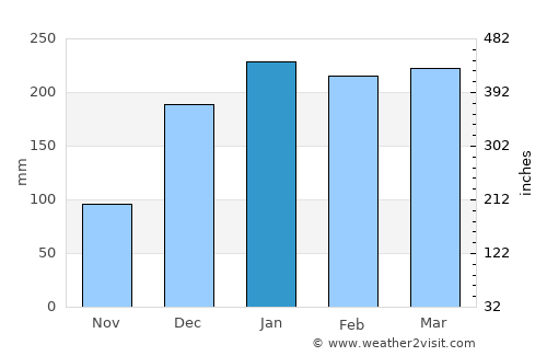 Banyuwangi average rain in January