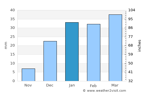Bardsīr average rain in January
