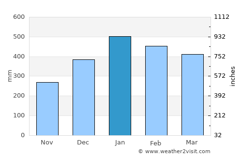 Bari average rain in January
