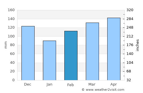 Bariadi average rain in February
