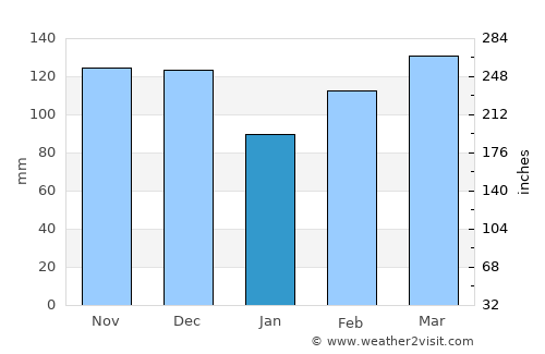 Bariadi average rain in January