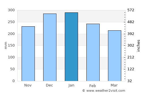 Barra do Garças average rain in January