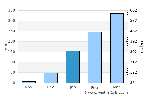 Barreirinhas average rain in January