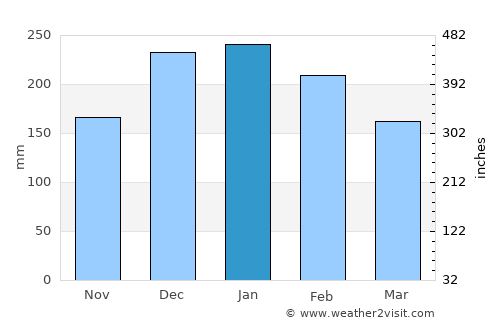 Barretos average rain in January
