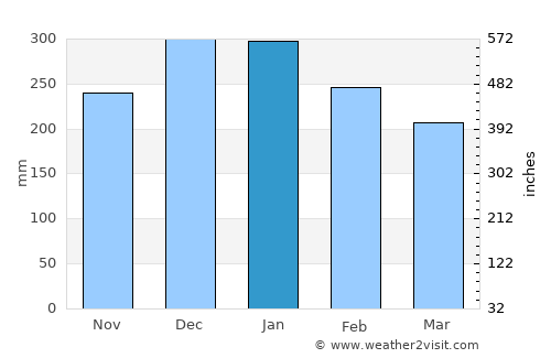 Barro Alto average rain in January