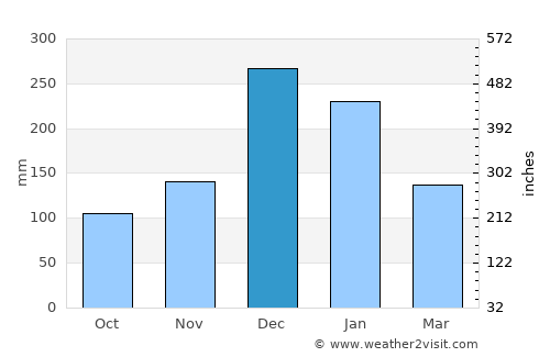 Bartica average rain in December