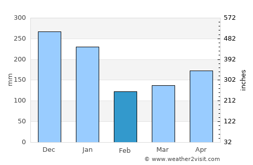 Bartica average rain in February