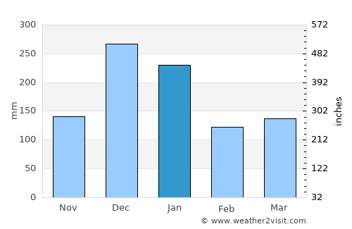 Bartica average rain in January