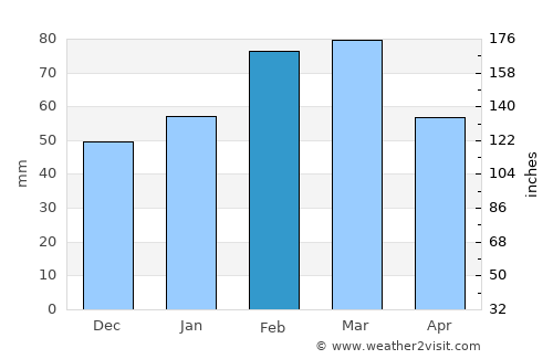 Bartow average rain in February