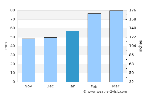 Bartow average rain in January