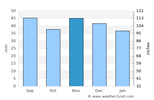 Başcov average rain in November