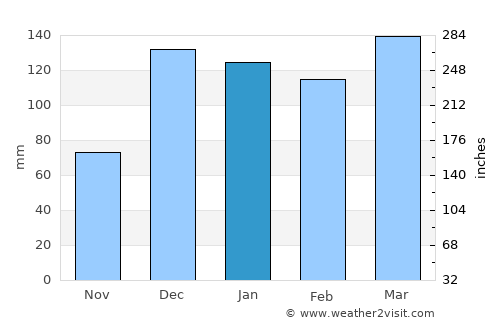 Basotu average rain in January