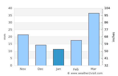 Bassett average rain in January